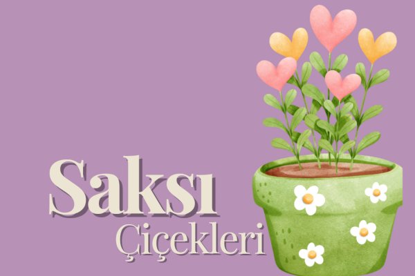 Sevgiliye Özel Ürünler