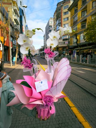 Beyaz çift dal orkide