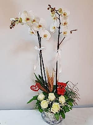 Beyaz Orkide G�l Aranjman