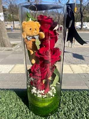 Cam  Vazoda  G�ller