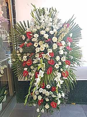 Kirmizi Beyaz Feforje Aranjman