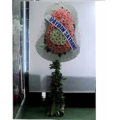 Pembe Beyaz A�ilis D�g�n �elenk �i�egi