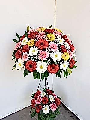 Renkli Gerbera  Feforje 