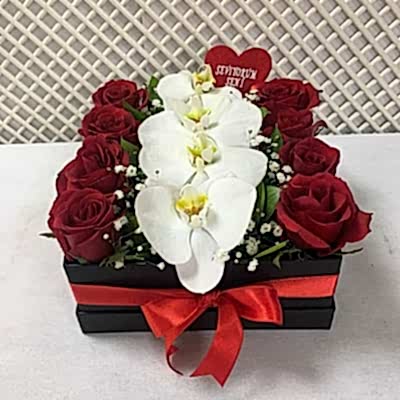 Seni Seviyorum Birtanem