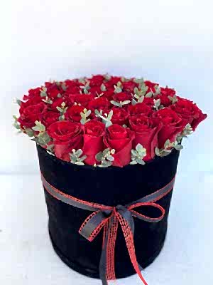 Siyah Kutuda Kirmizi G�l