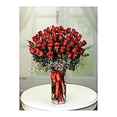 Vazoda 41 Kirmizi G�l